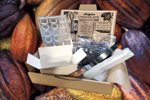 Buy chocolate making kit to make chocolates at home